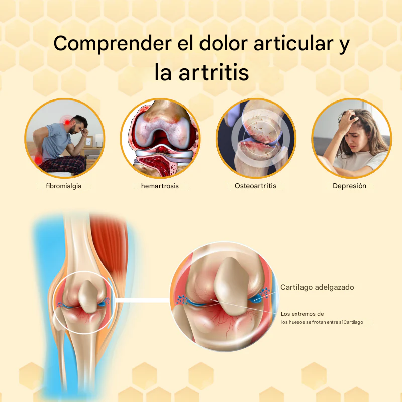 (SET X 10🔥😱) 🩹🦴Parche para articulaciones con veneno de abeja🔥🐝 Biancat™ ArthroRelief
