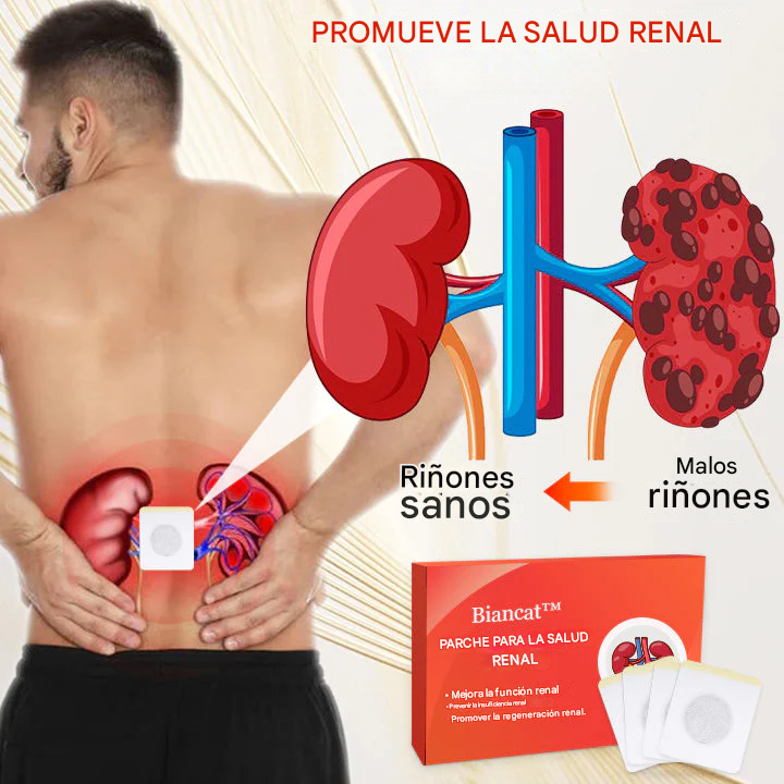 (SET X 12🔥😱) 💦🫘Parche para la INCONTINGENCIA RENAL🫘💦 Biancat™