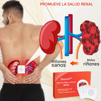 (SET X 12🔥😱) 💦🫘Parche para la INCONTINGENCIA RENAL🫘💦 Biancat™