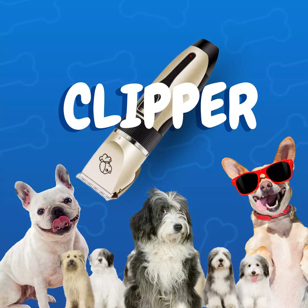Clipper - Máquina de peluquería para mascotas